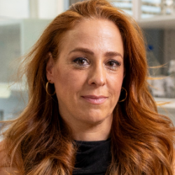 Yifat H. Merbl