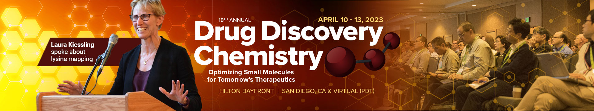 Drug Discovery Chemistry - 2023