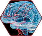 Blood-Brain Penetrant Inhibitors icon