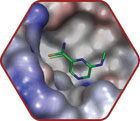 Fragment-Based Drug Discovery icon