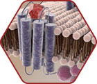 GPCR-Targeted Drug Design icon
