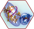 BKinase Inhibitor Chemistry icon