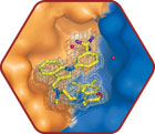 Protein-Protein Interactions Part II icon