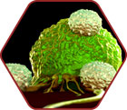Small Molecules for Cancer Immunotherapy icon