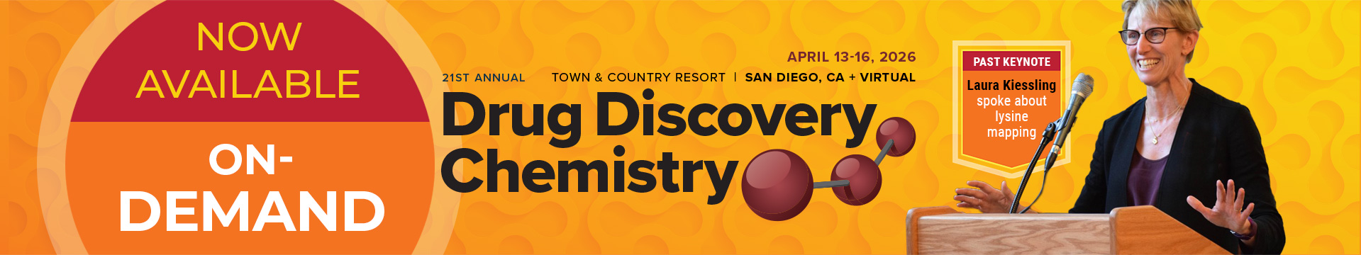 Drug Discovery Chemistry - 2026