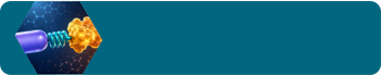 Track Icon